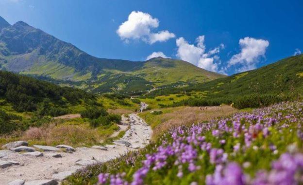 House Hanka, High Tatras Stará Lesná Exteriér fotografie